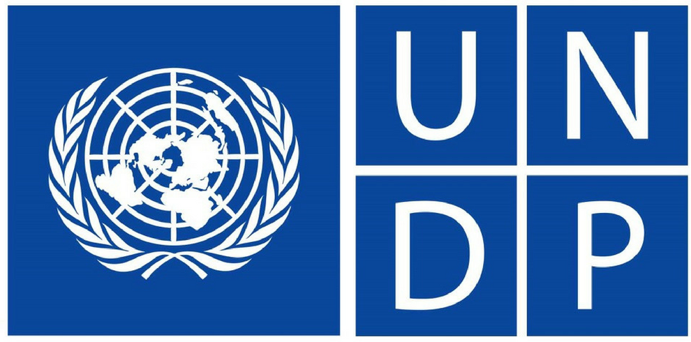 undp-logo-png_seeklogo